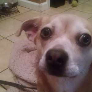 Meet your Posher, Kateisha